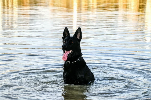 20161126155717_IMG_0113-2-1920w