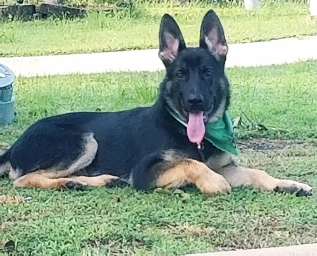 20180725_085613scorpian-1920w