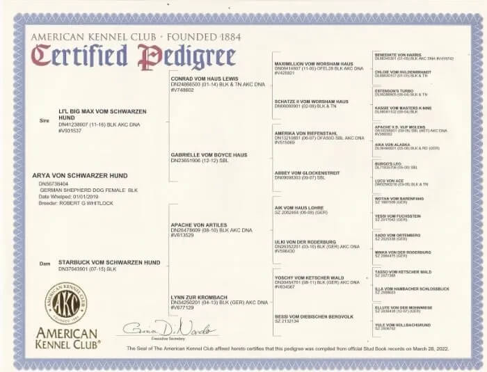 https://schwarzerhund.zacharycoyne.com/wp-content/uploads/2023/10/Arya-Von-Schwarzer-Hund-Pedigree.jpg