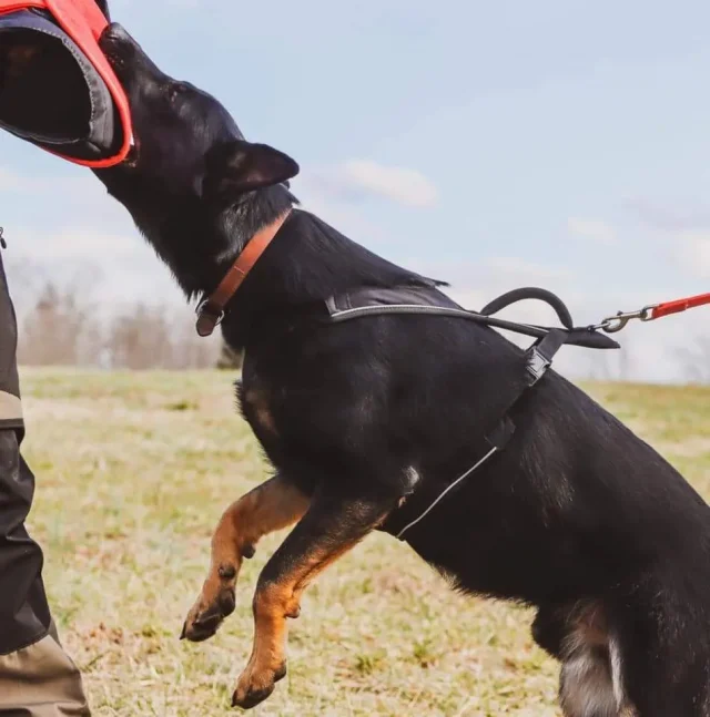 FB_IMG_1610832514595-1920w