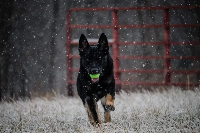 FB_IMG_1614127405840-1920w