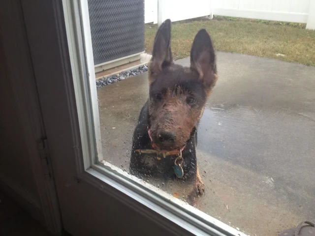 IMG_3569+layla-1920w