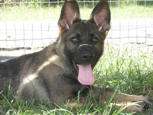 Link+in+AUburn-1920w