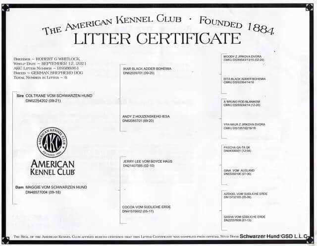 https://schwarzerhund.zacharycoyne.com/wp-content/uploads/2023/10/London-Vom-Schwarzen-Hund-Pedigree.jpg