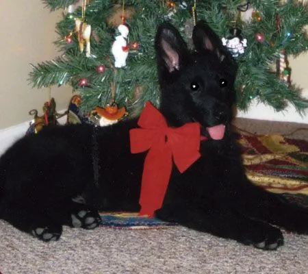 Maverick_edited-1-1920w