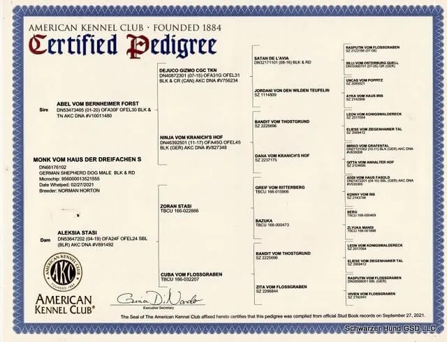 https://schwarzerhund.zacharycoyne.com/wp-content/uploads/2023/10/Monk-Vom-Haus-Der-Dreifachen-S-Pedigree-1.jpg