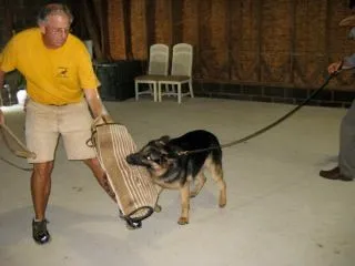 bodhi4-903befed-1920w