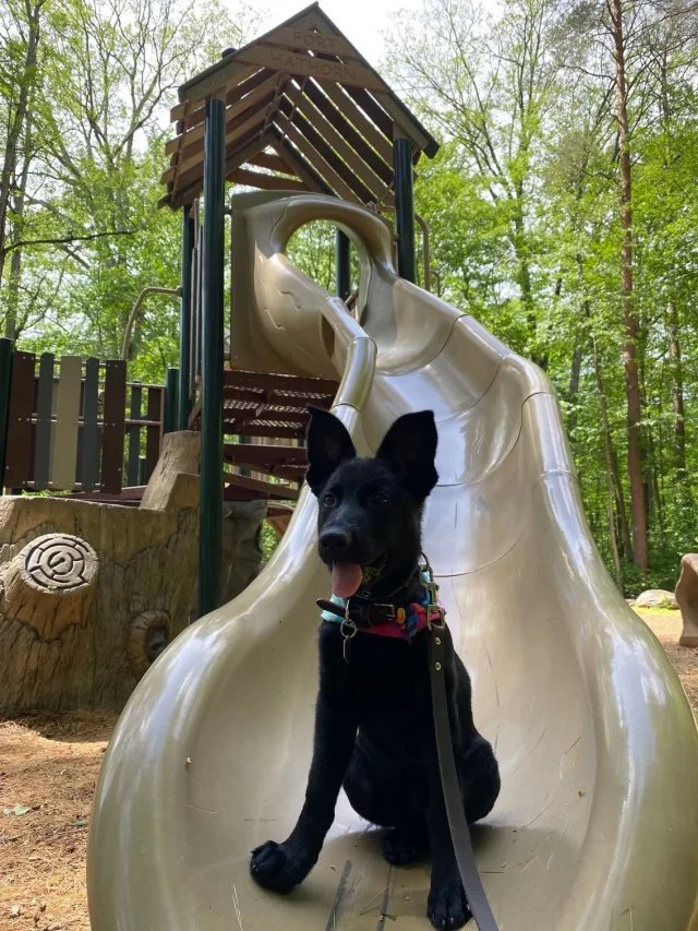 image0+fenrir+NY-1920w